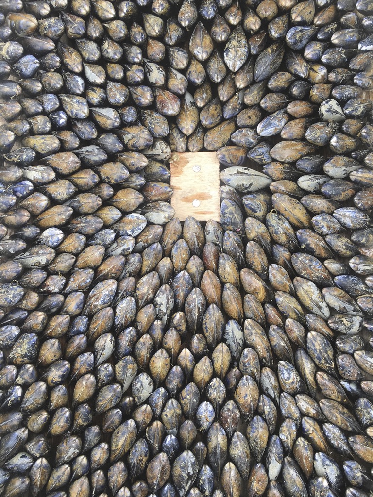 24A604F0-D4E0-4F14-9CDD-E856A52E63B3_1_105_c